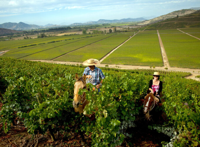 Awaken Your Senses: Explore Chile’s Wine Country Through Tastings