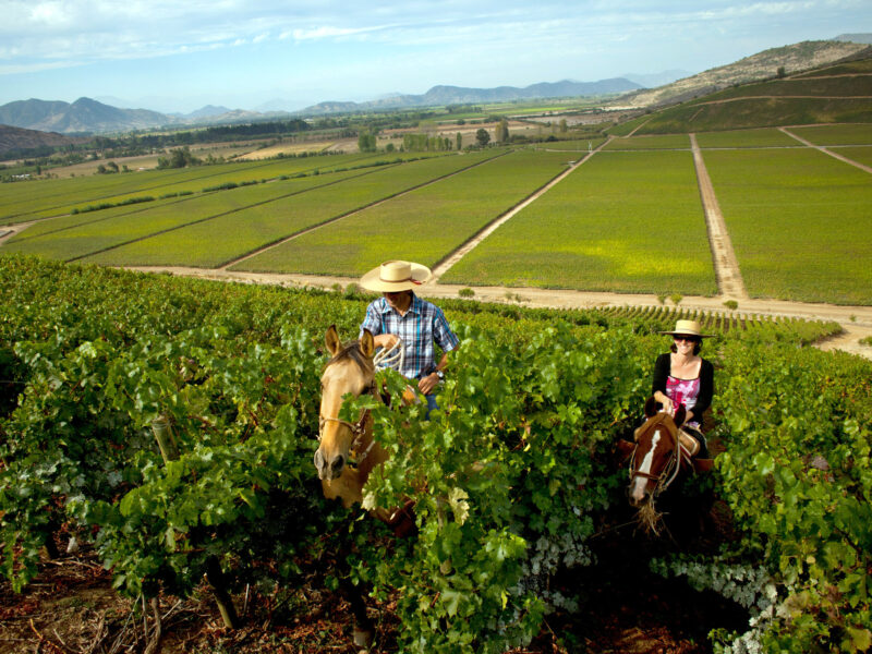 Awaken Your Senses: Explore Chile’s Wine Country Through Tastings