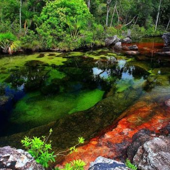 Caño-Cristales