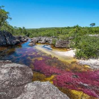 Caño-Cristales-Photo-by-Alberto-Acero