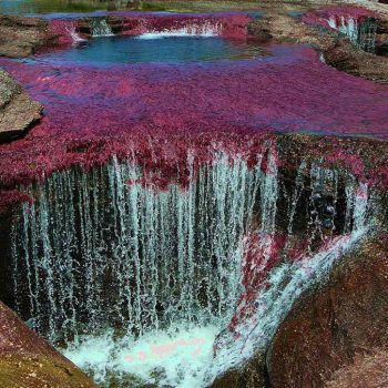 Caño-Cristales5