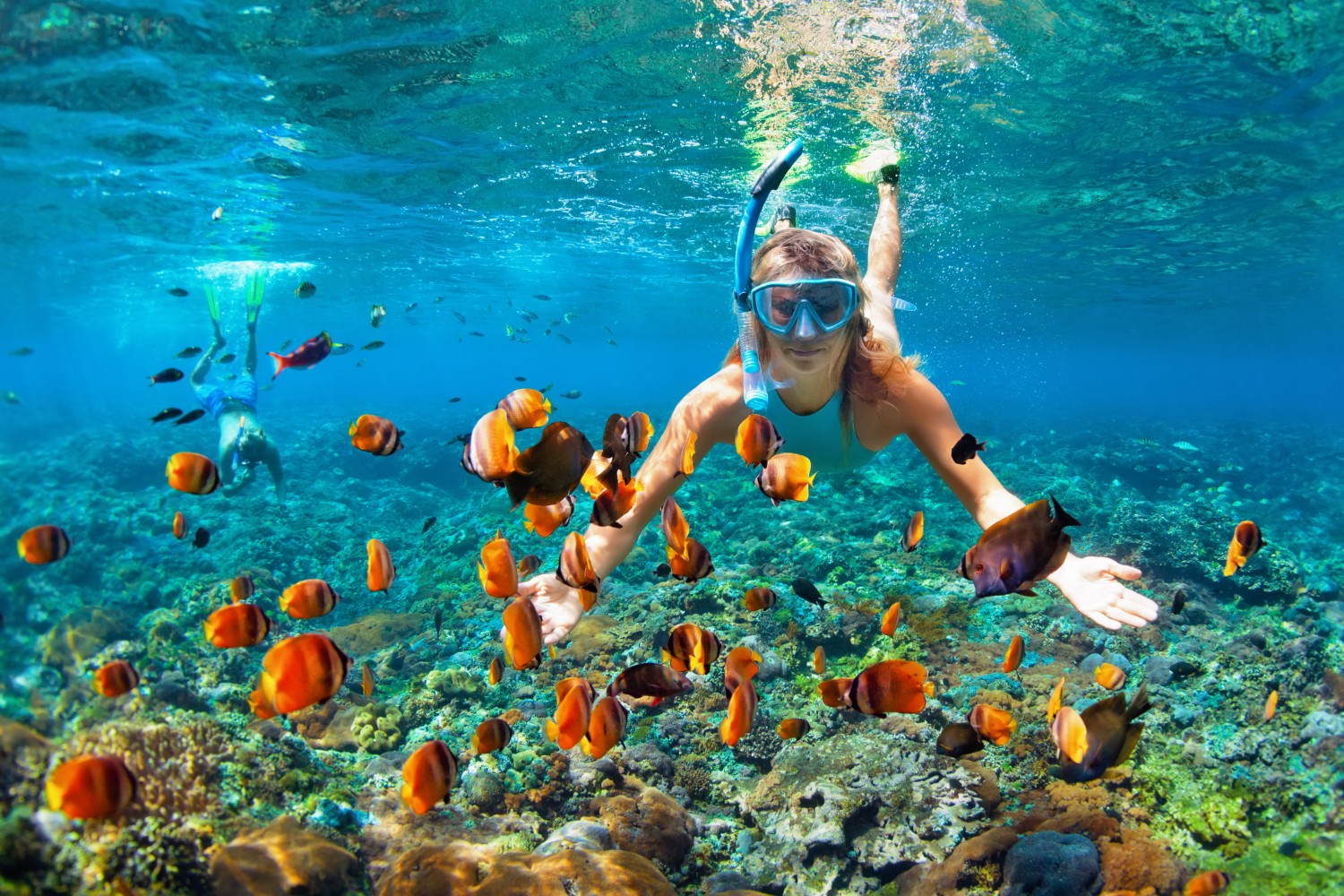 Explore Curacao's mesmerizing underwater realm