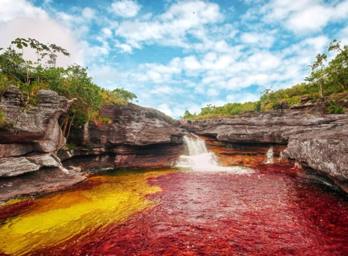 Connect with Nature on a Journey to Caño Cristales