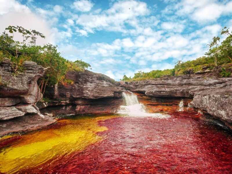 Connect with Nature on a Journey to Caño Cristales