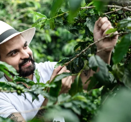 Coffee Lover’s Paradise: Tour & Tasting at La Coffee Hacienda