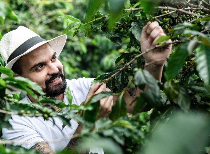 Coffee Lover’s Paradise: Tour & Tasting at La Coffee Hacienda