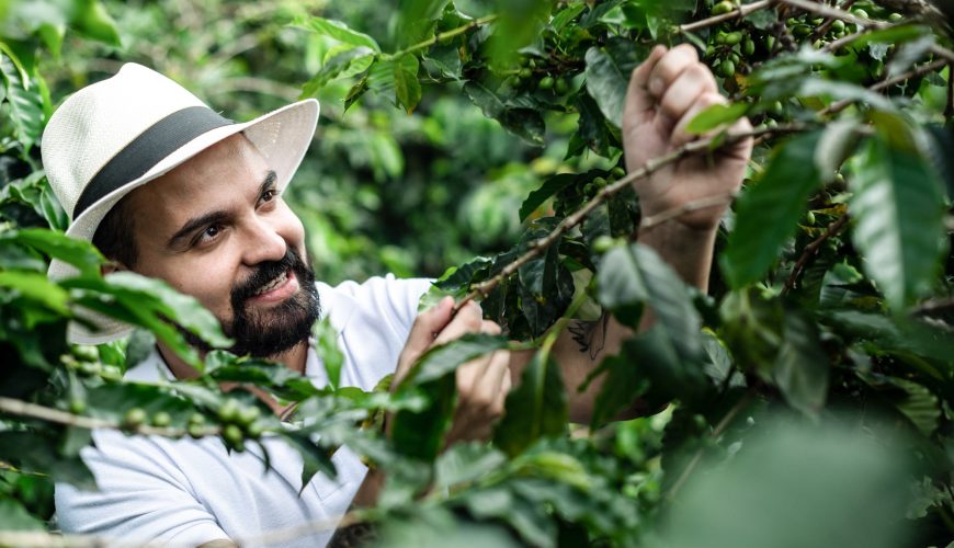 Coffee Lover’s Paradise: Tour & Tasting at La Coffee Hacienda