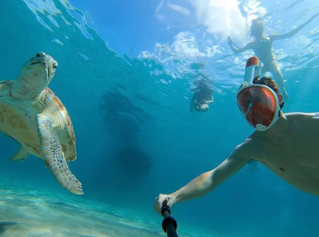 Playa Piskado (Fisherman/Turtle Beach)