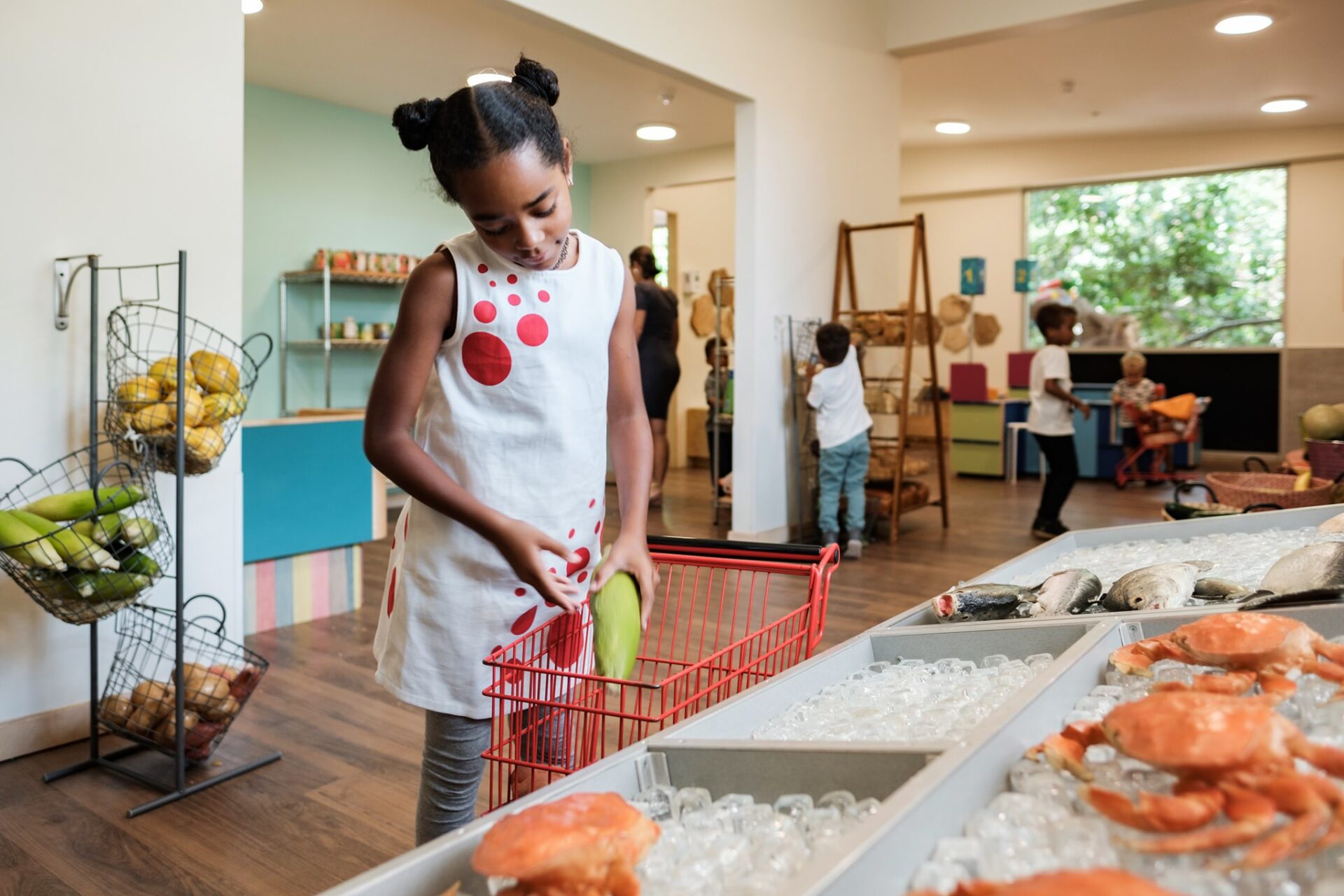 Dive into a world of imagination and discovery at the Children’s Museum Curacao