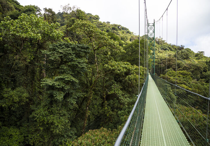 adventure-suspension-bridge-rain-forest-costa-rica (1)